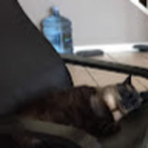 Meet your Posher, Mya